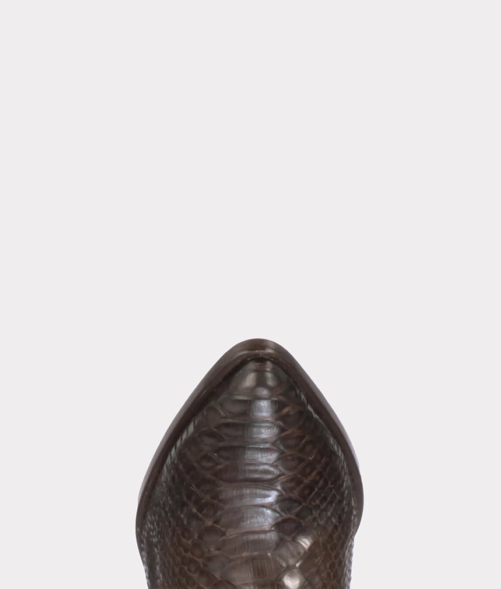 Alma Exotic :: Chocolate